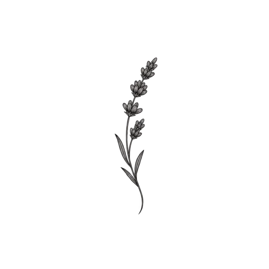 Fine line tattoo design of a tiny lavender sprig to tuck behind the ear