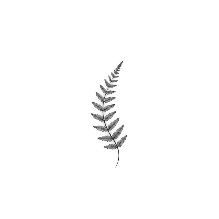 Fine line tattoo design of a tiny curving fern frond, ear sized