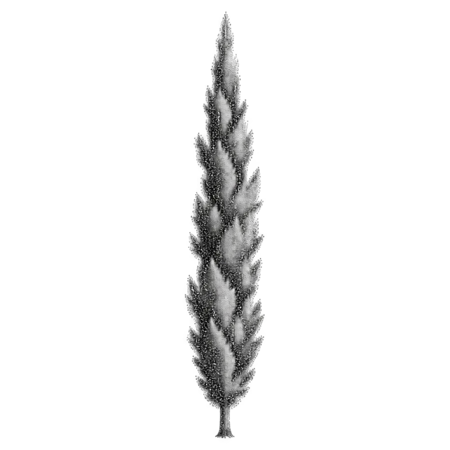 Dotwork tattoo of a slender cypress tree running the length of the spine