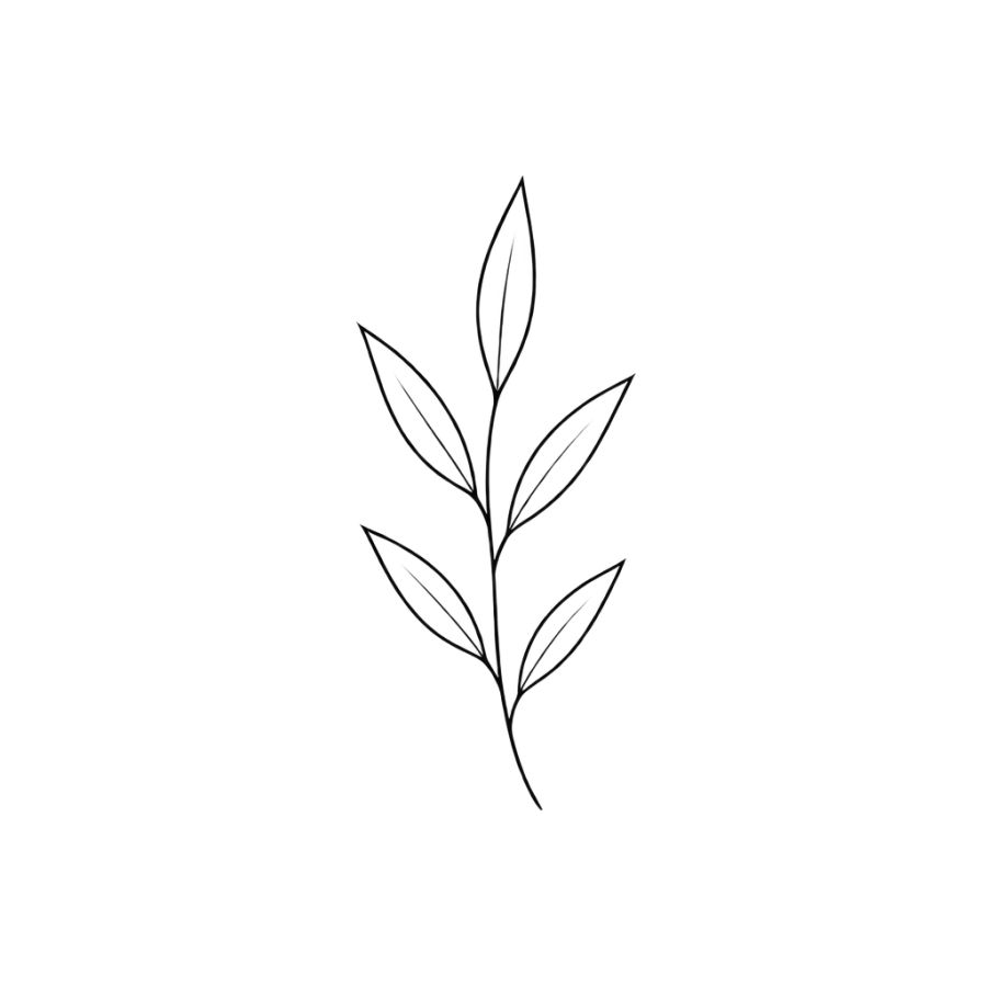 Minimalist tattoo design of an olive branch sprig with five slim leaves